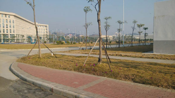clip_image003.jpg