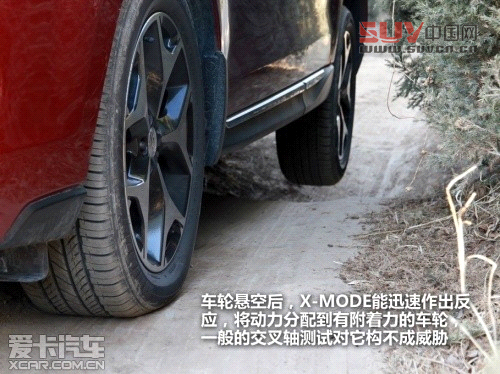 新森林人評測