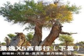 測試文章相關(guān)鏈接圖