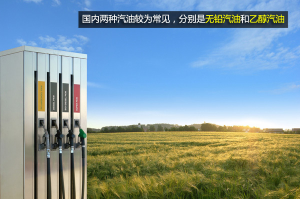 有備無患! 為您盤點過年異地用車注意指南
