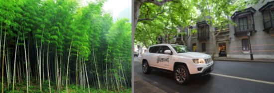 被譽為都市生態(tài)園、都市氧吧的城郊森林公園，是春季出行的好去處。不妨抽出時間，結(jié)三五好友，去野味十足的城郊吐故納新，也在大自然的原生態(tài)中，讓自己平日緊繃的神經(jīng)松弛一下。