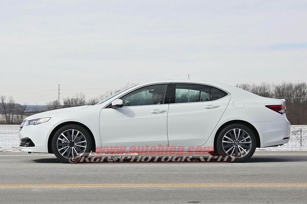 量產版謳歌TLX低偽照 年內上市/將取代TL