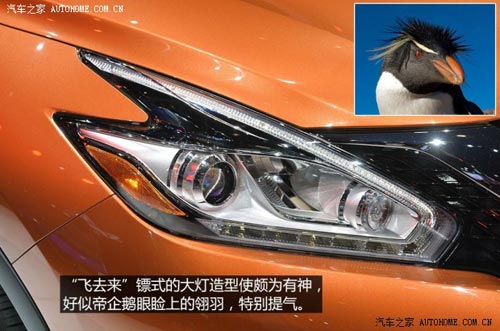 日產(chǎn)日產(chǎn)(進口)樓蘭(海外)2015款 基本型