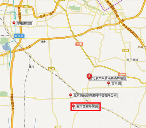 櫻桃紅了 探尋京郊櫻桃采摘好去處