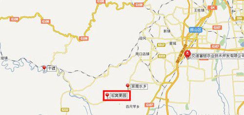 櫻桃紅了 探尋京郊櫻桃采摘好去處
