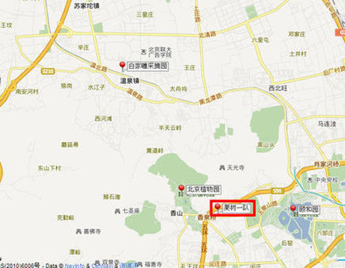 櫻桃紅了 探尋京郊櫻桃采摘好去處