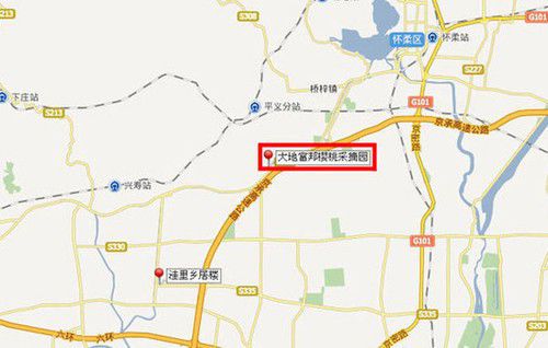 櫻桃紅了 探尋京郊櫻桃采摘好去處