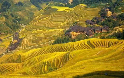 華夏大地5處令人心醉的美：廣西龍脊、新疆伊犁
